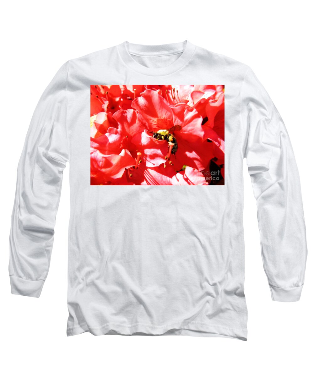 Sweet Surrender Long Sleeve T-Shirt featuring the photograph Sweet Surrender by Robyn King