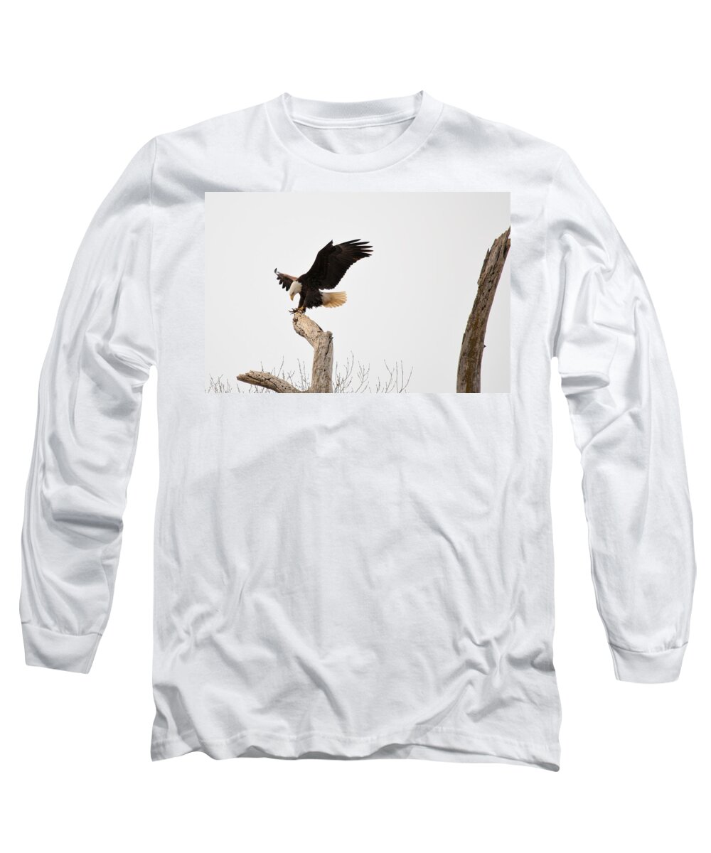 Eagle Long Sleeve T-Shirt featuring the photograph The Landing by Bonfire Photography