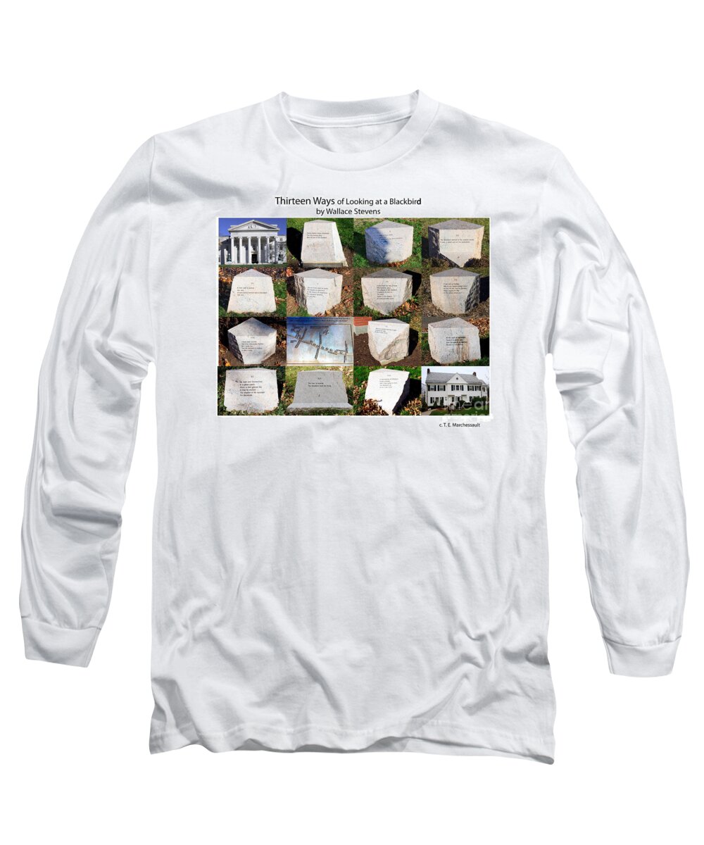 Poster Long Sleeve T-Shirt featuring the photograph Thirteen Ways of Looking at a Blackbird by Thomas Marchessault