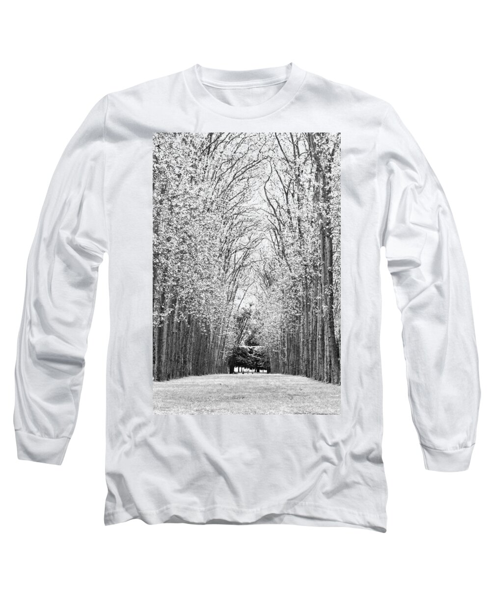 Trees Long Sleeve T-Shirt featuring the photograph Through the Trees by Maj Seda