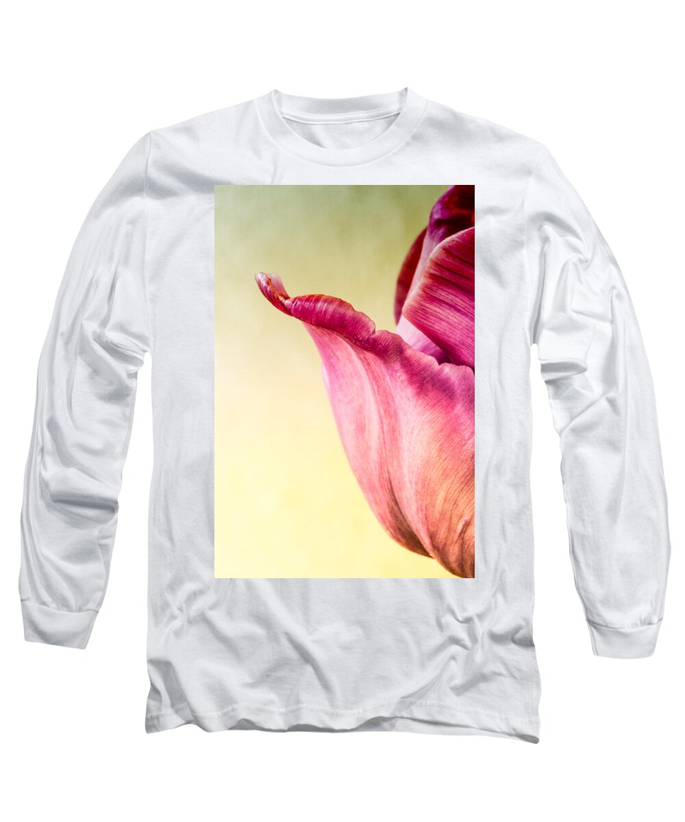 Tulips Long Sleeve T-Shirt featuring the photograph Tulip Petal by Georgette Grossman