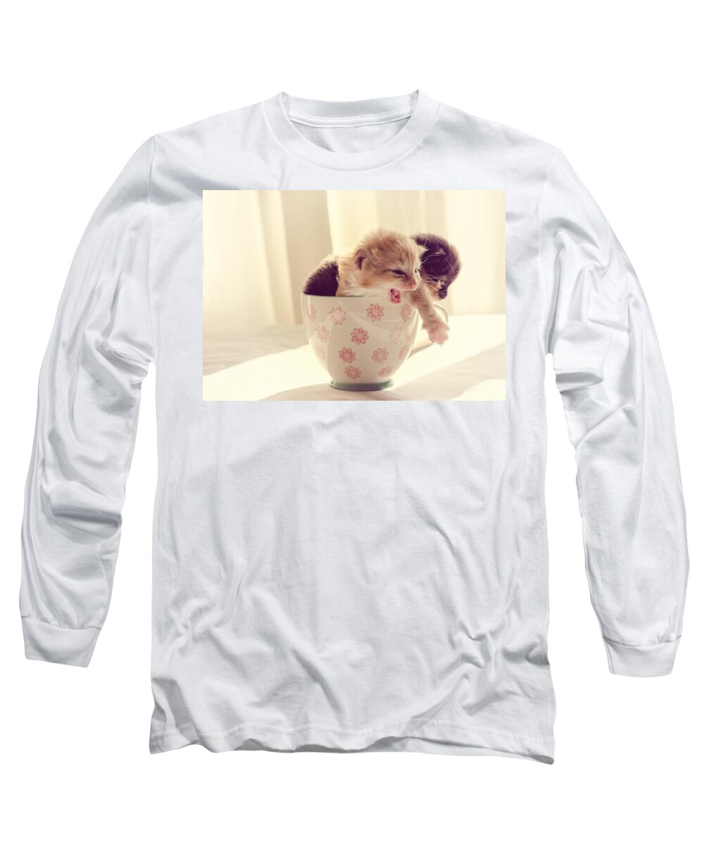 Two Long Sleeve T-Shirt featuring the photograph Two Cute Kittens in a Cup by Spikey Mouse Photography