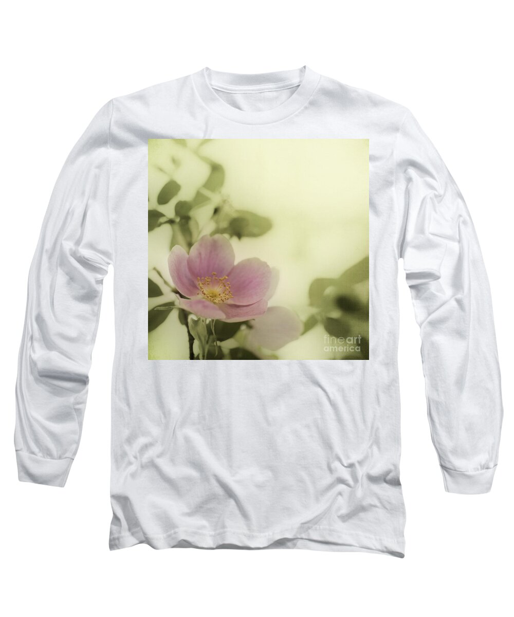 Rosa Acicularis Long Sleeve T-Shirt featuring the photograph Where The Wild Roses Grow by Priska Wettstein