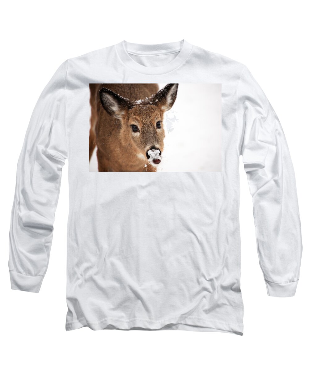 Deer Long Sleeve T-Shirt featuring the photograph White On The Nose by Karol Livote