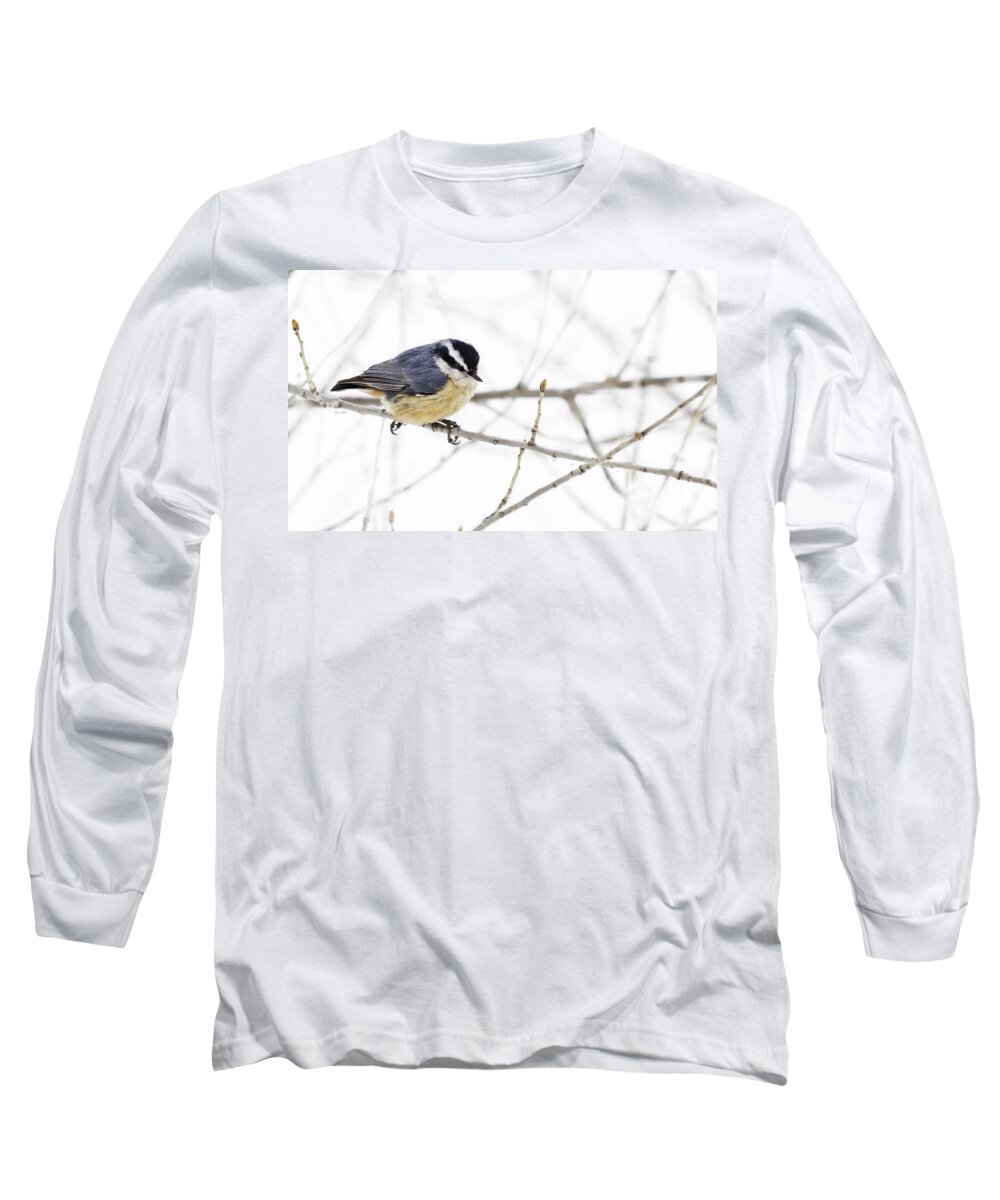 Nuthatch Long Sleeve T-Shirt featuring the photograph Winter Day by Jan Killian