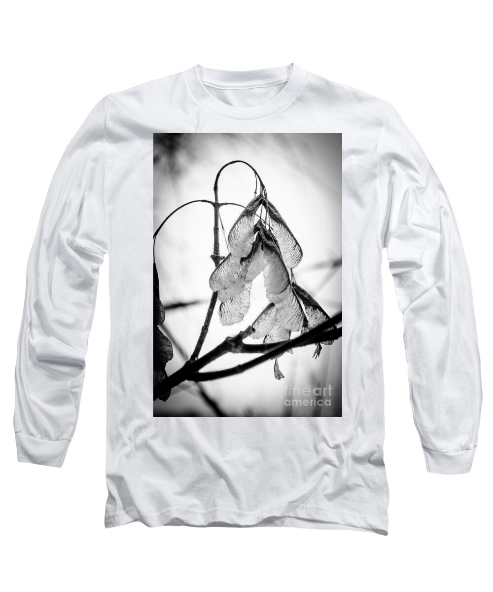 Leaves Long Sleeve T-Shirt featuring the photograph Winter Seeds by Michael Arend