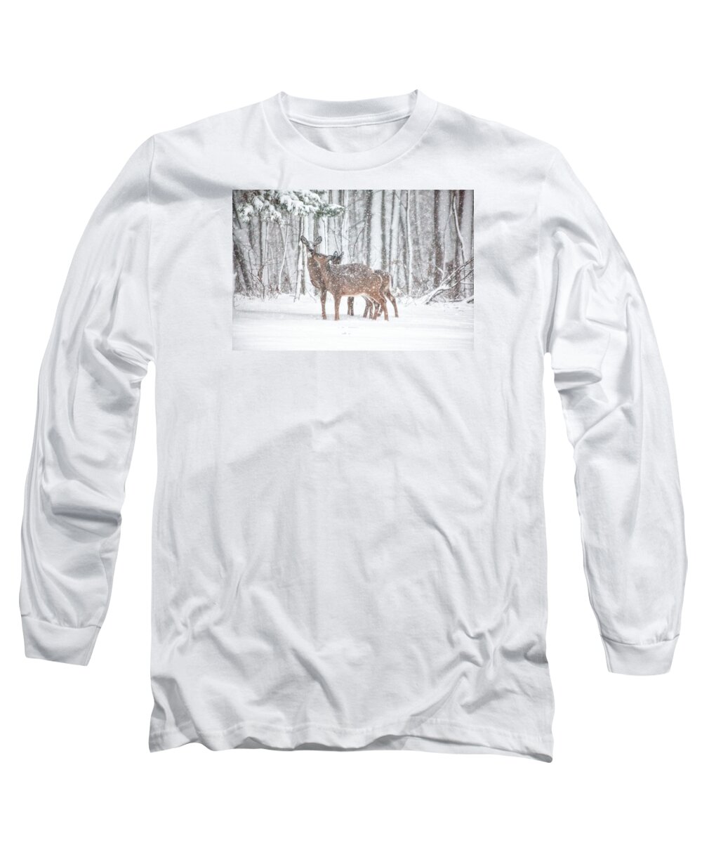 Deer Long Sleeve T-Shirt featuring the photograph Winters Love by Karol Livote