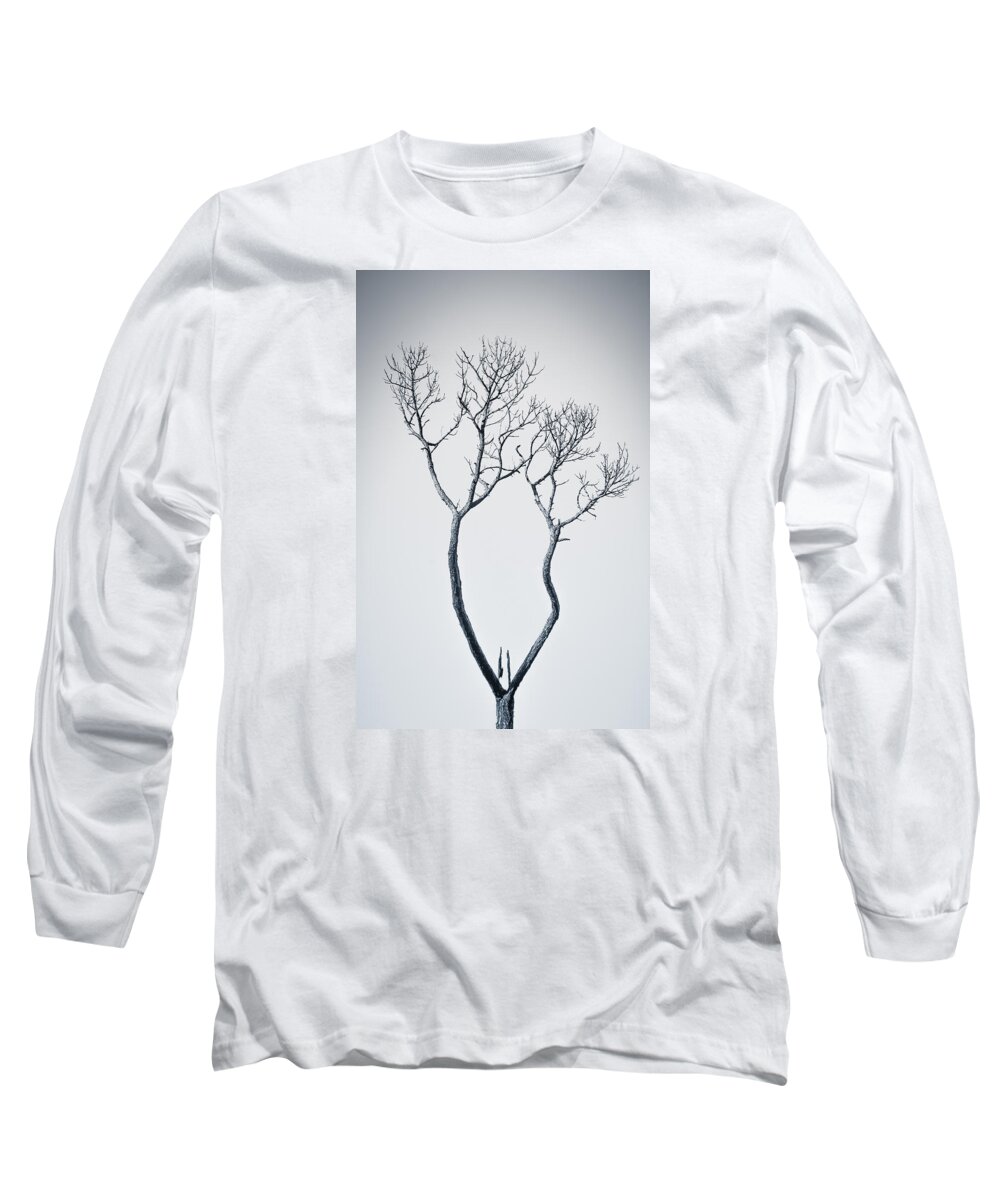 Tree Long Sleeve T-Shirt featuring the photograph Wishbone Tree by Carolyn Marshall