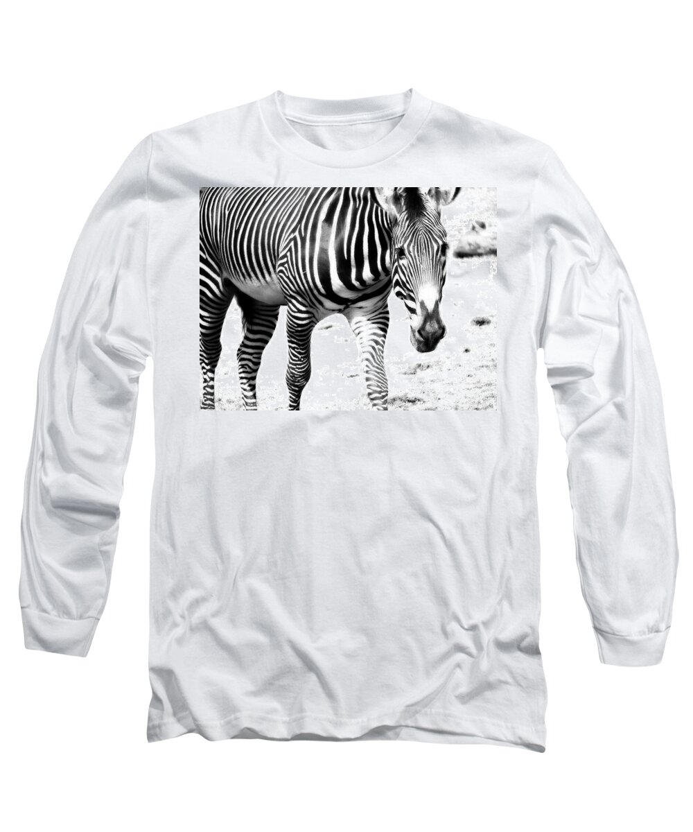 Stripe Long Sleeve T-Shirt featuring the photograph Zebra by Michelle Calkins