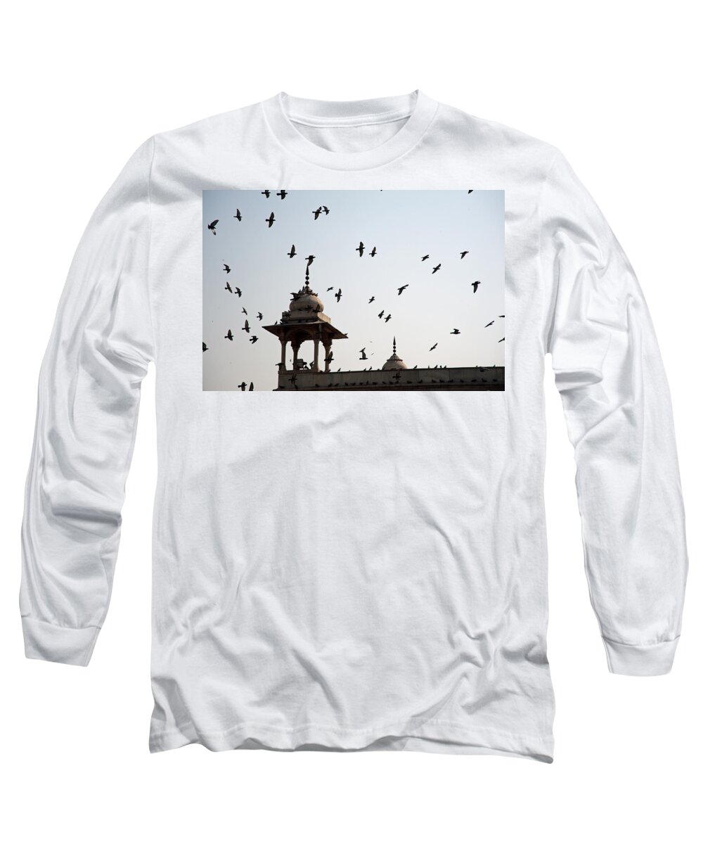 Delhi Long Sleeve T-Shirt featuring the photograph A whole flock of pigeons on the top of the ramparts of the Red Fort in New Delhi by Ashish Agarwal