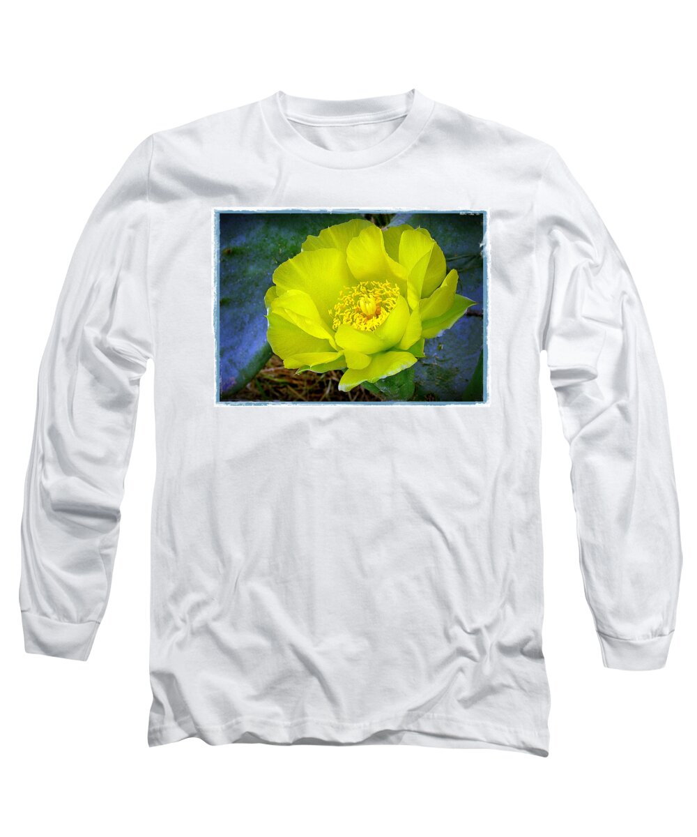 Cactus Long Sleeve T-Shirt featuring the photograph Cactus Flower by Judi Bagwell