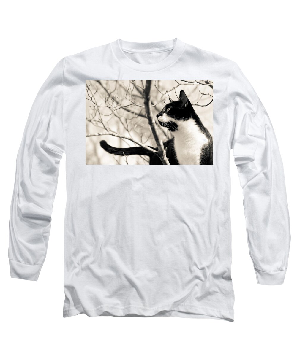Snickers Long Sleeve T-Shirt featuring the photograph Cat in a Tree in Black and White by Lori Coleman