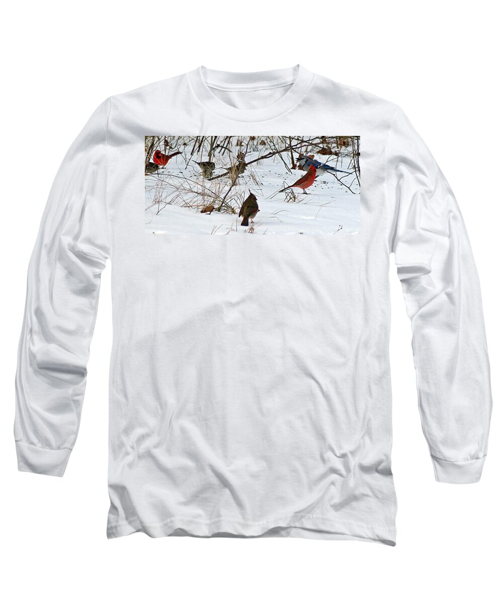 Cardinal Long Sleeve T-Shirt featuring the photograph Christmas Feast by Joe Faherty