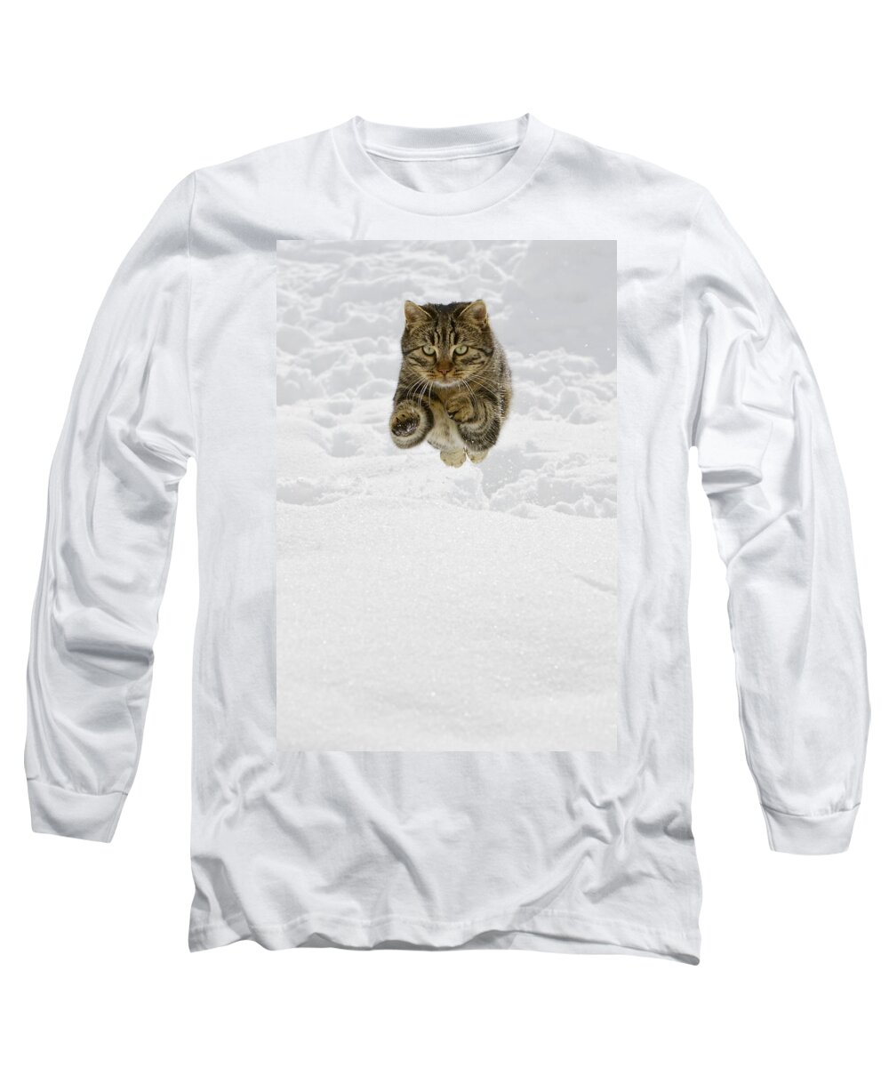 Mp Long Sleeve T-Shirt featuring the photograph Domestic Cat Felis Catus Male Jumping by Konrad Wothe
