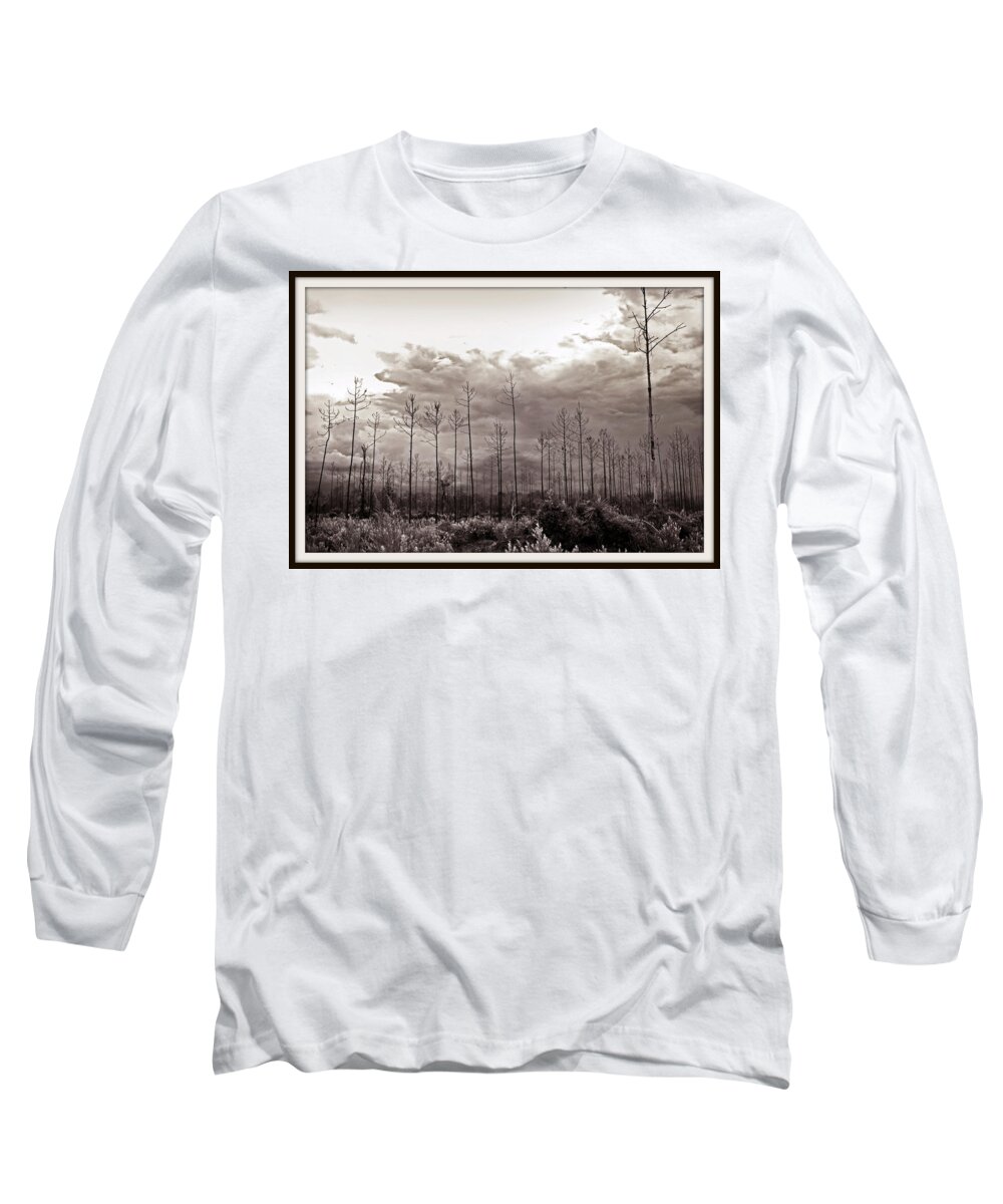 Tree Long Sleeve T-Shirt featuring the photograph Forest Regrowth by Farol Tomson