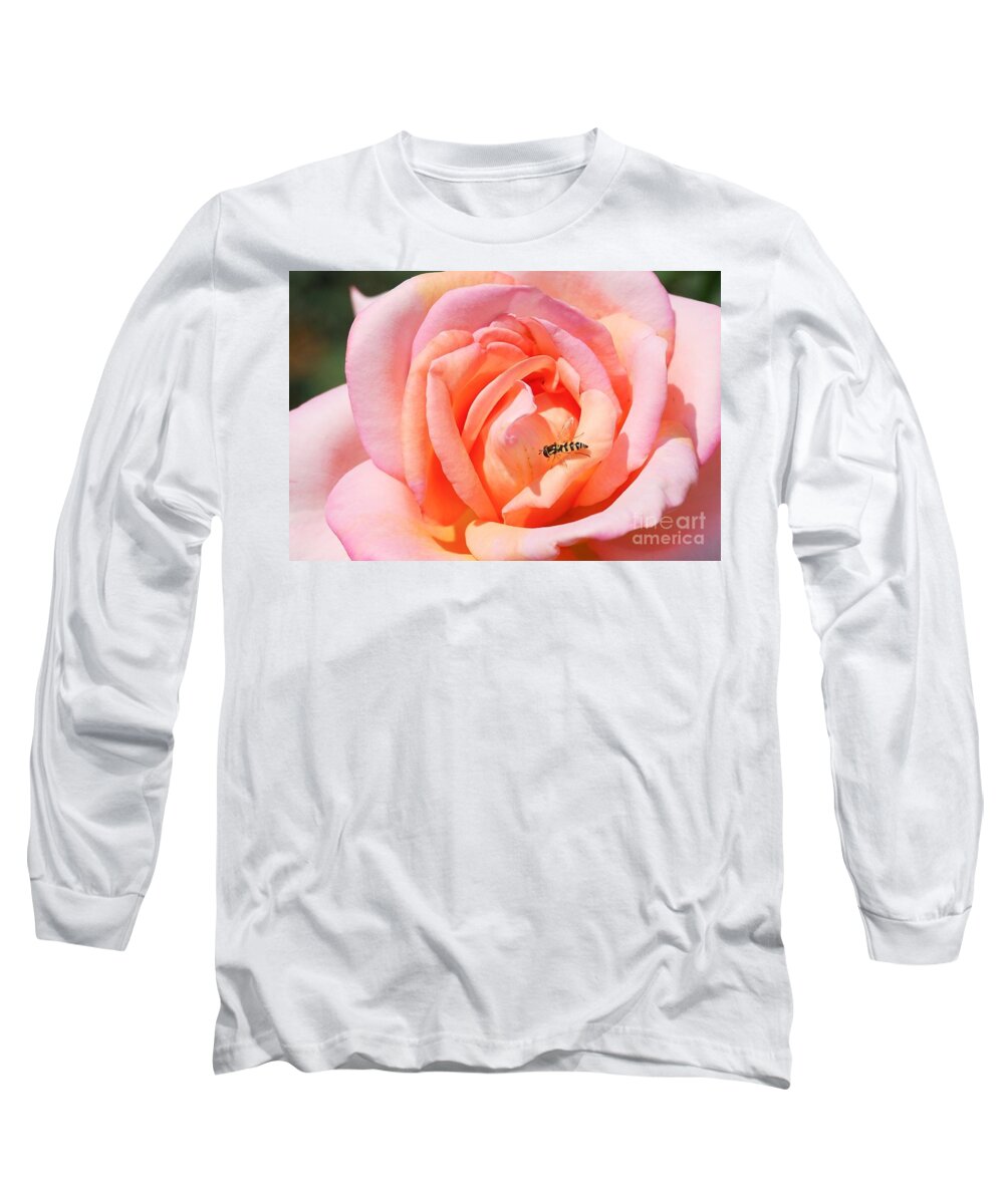 Honeybee Long Sleeve T-Shirt featuring the photograph In search of nectar by Fotosas Photography