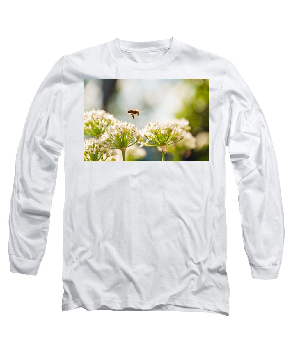 Bee Long Sleeve T-Shirt featuring the photograph Mid-Pollenation by Cheryl Baxter