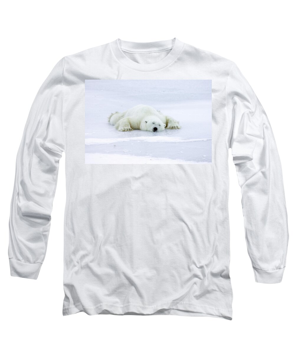 Mp Long Sleeve T-Shirt featuring the photograph Polar Bear Ursus Maritimus Resting by Matthias Breiter