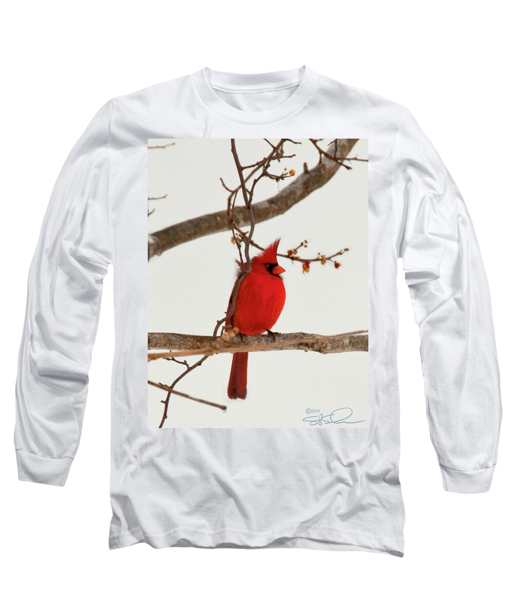 Cardinal Long Sleeve T-Shirt featuring the photograph Righteous Cardinal by S Paul Sahm