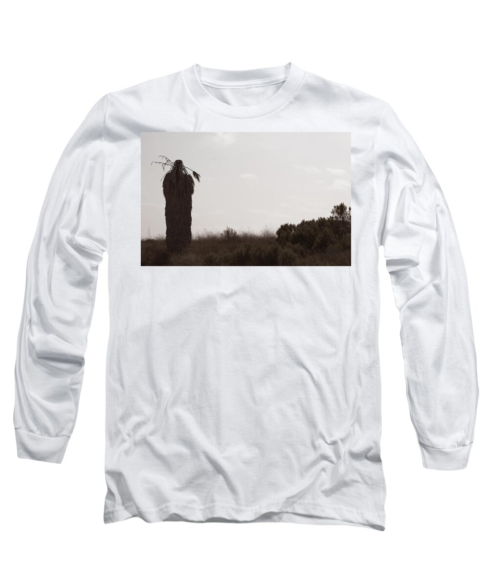 Palm Tree Long Sleeve T-Shirt featuring the photograph The Chief by Lorraine Devon Wilke