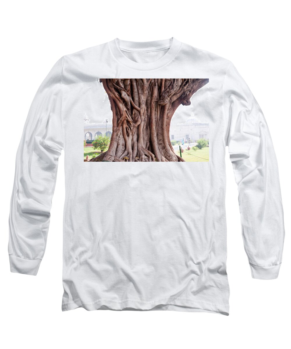 Tree Long Sleeve T-Shirt featuring the photograph The twisted and gnarled stump and stem of a large tree inside the Qutub Minar Compound by Ashish Agarwal