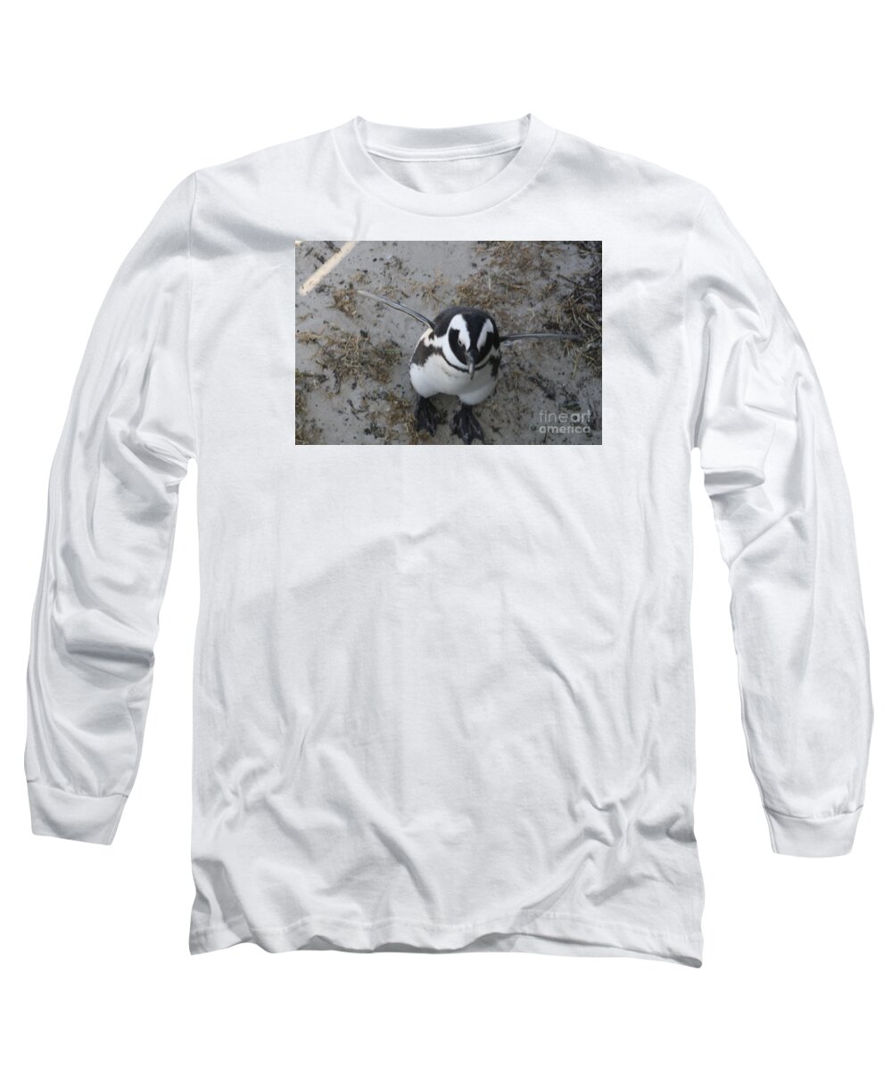 African Penguin Long Sleeve T-Shirt featuring the photograph African Penguin #1 by Bev Conover