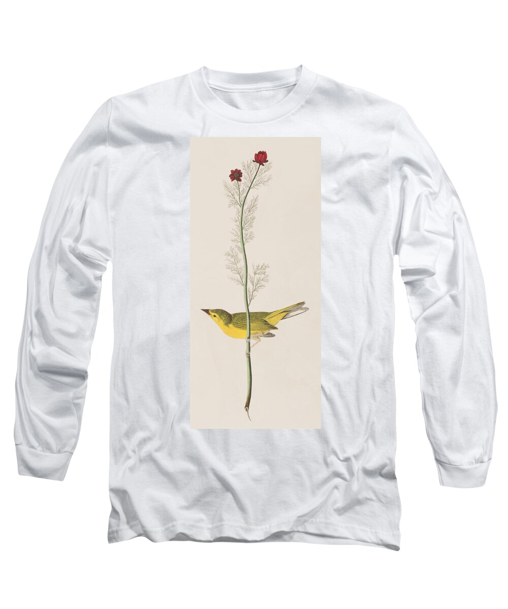 Hooded Warbler Long Sleeve T-Shirt featuring the painting Hooded Warbler by John James Audubon