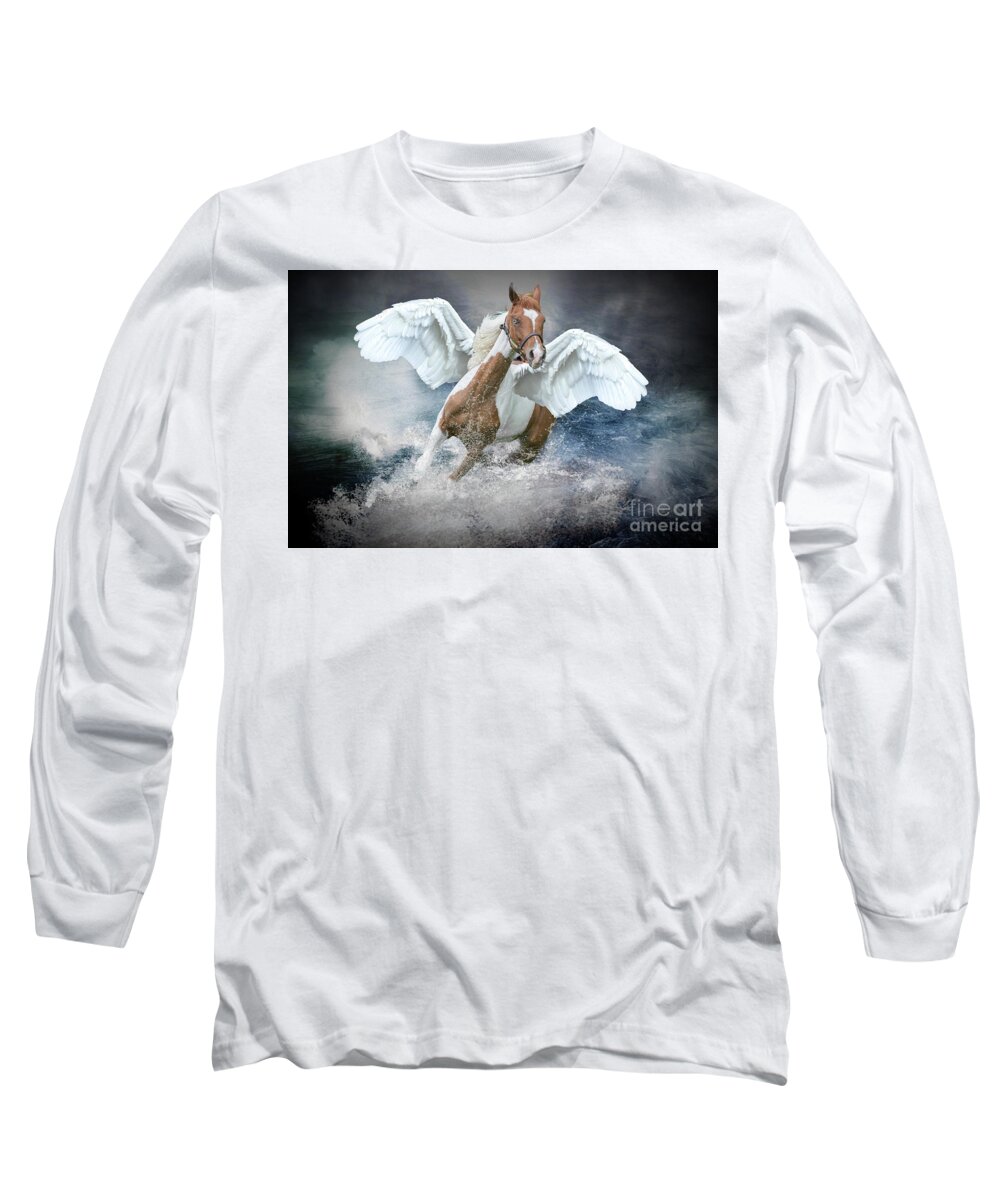 Pegasus Long Sleeve T-Shirt featuring the photograph Pegasus #1 by Jim Hatch