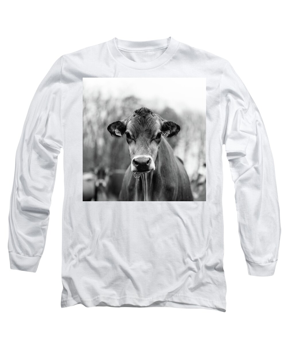 Livestock Long Sleeve T-Shirt featuring the photograph Portrait of a dairy cow in the rain Stowe Vermont #1 by Edward Fielding