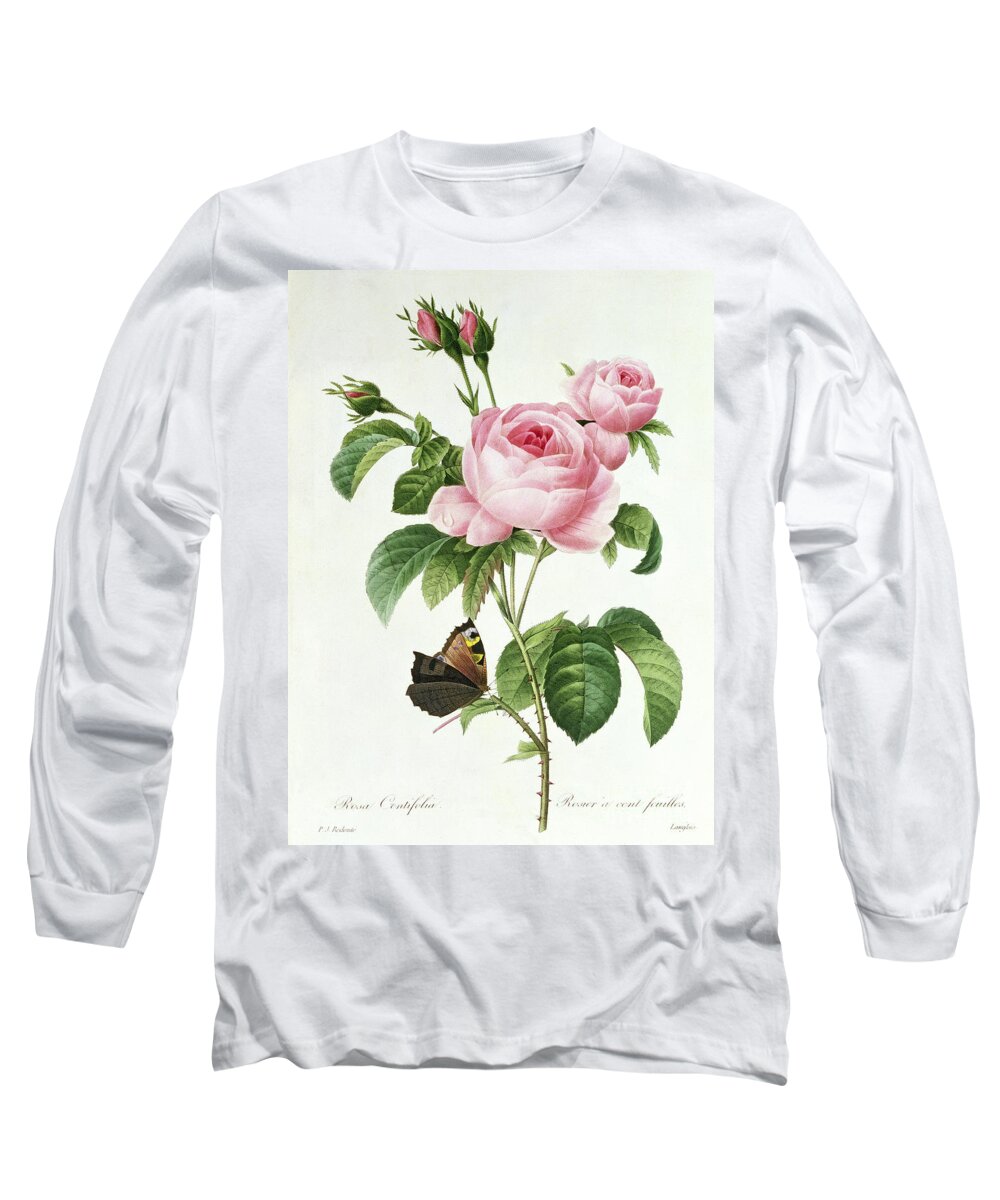 Butterfly Long Sleeve T-Shirt featuring the painting Rosa Centifolia by Pierre Joseph Redoute