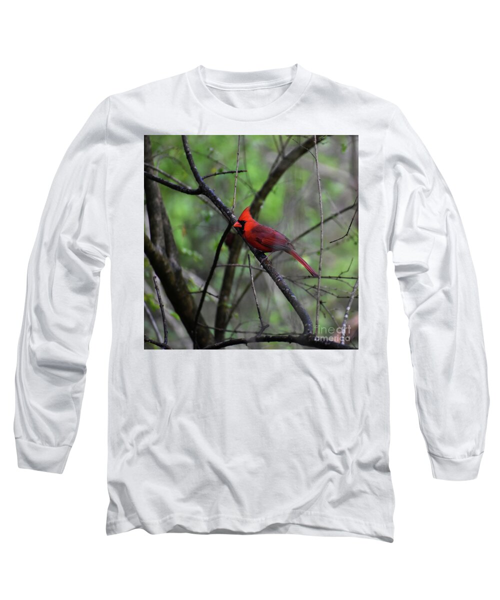 Nature Long Sleeve T-Shirt featuring the photograph Saint Louis #1 by Skip Willits