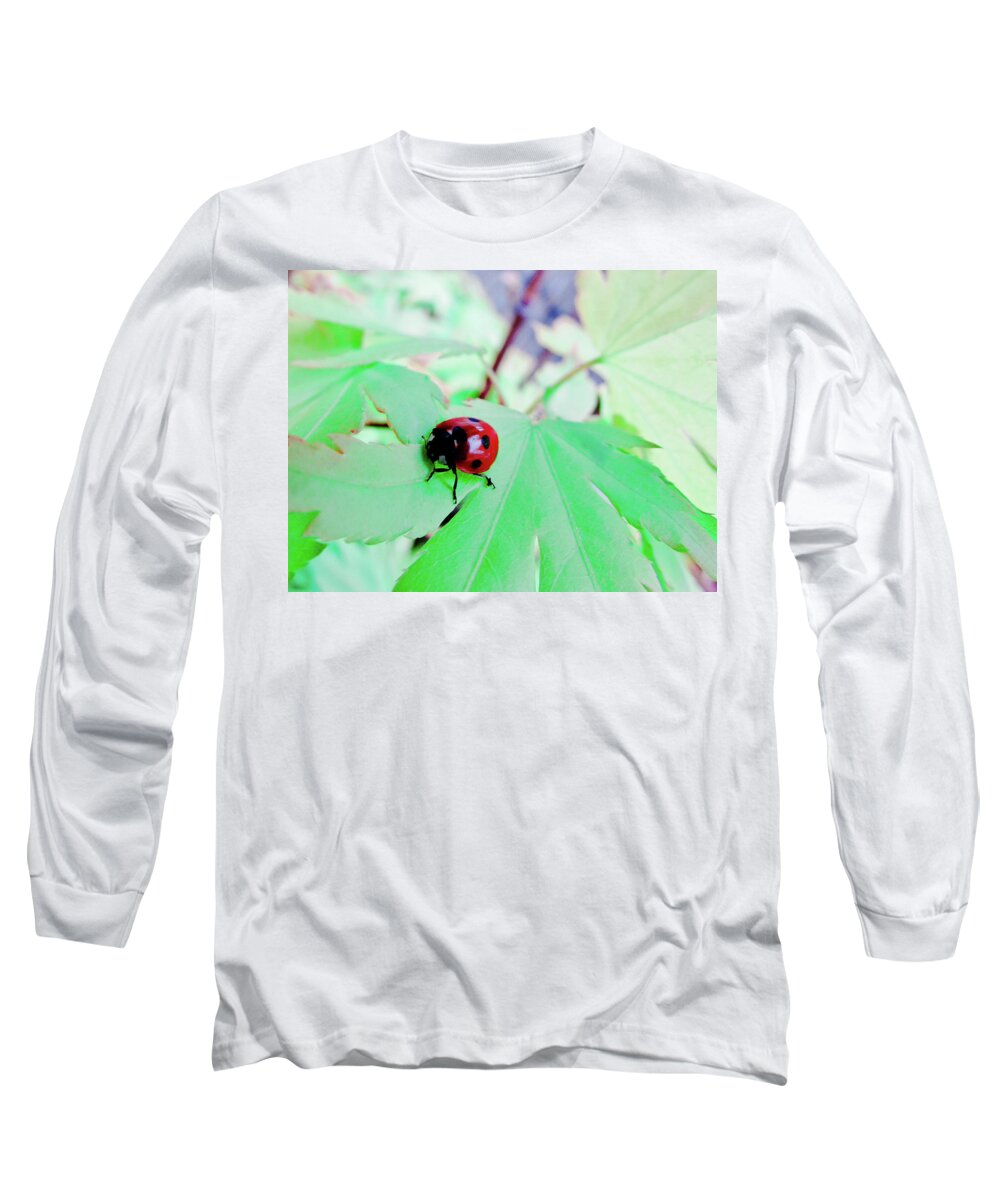 Ladybug Long Sleeve T-Shirt featuring the photograph Sweet ladybug #1 by Cesar Vieira