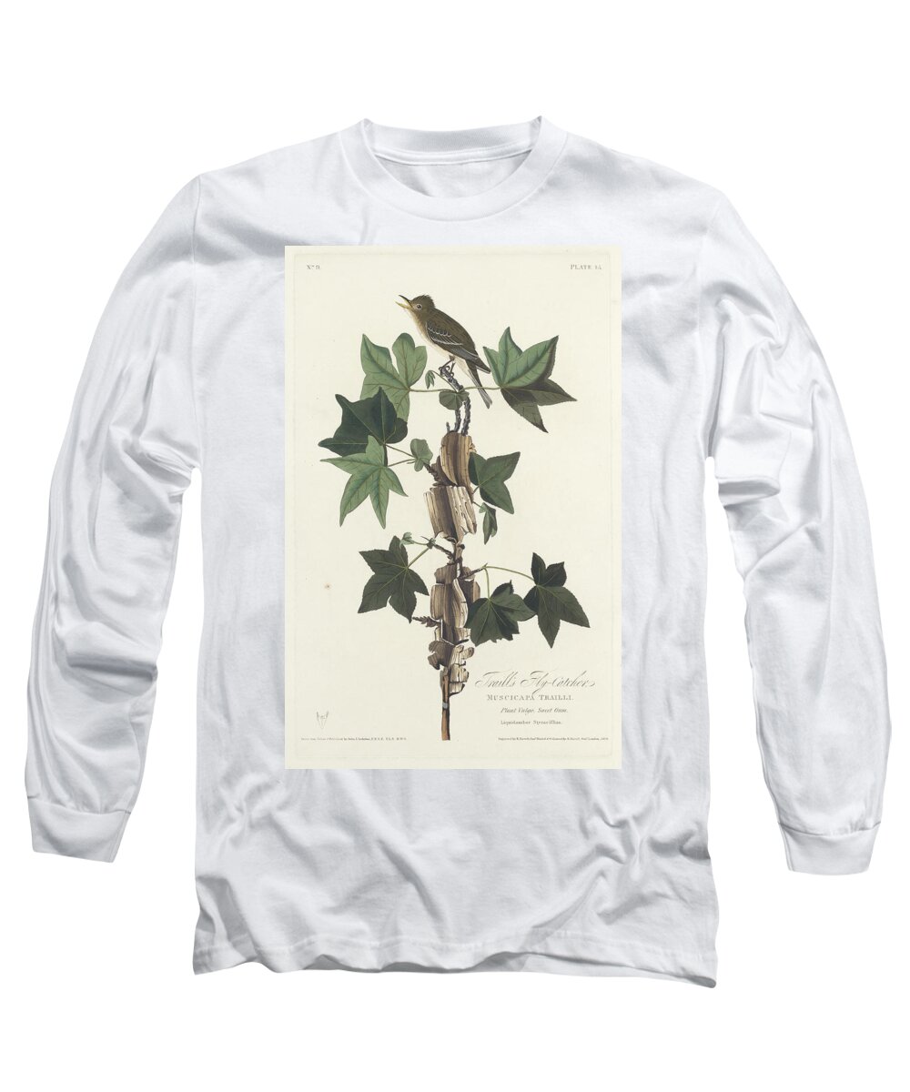 Fly Catcher Long Sleeve T-Shirt featuring the painting Traill's Flycatcher by John James Audubon