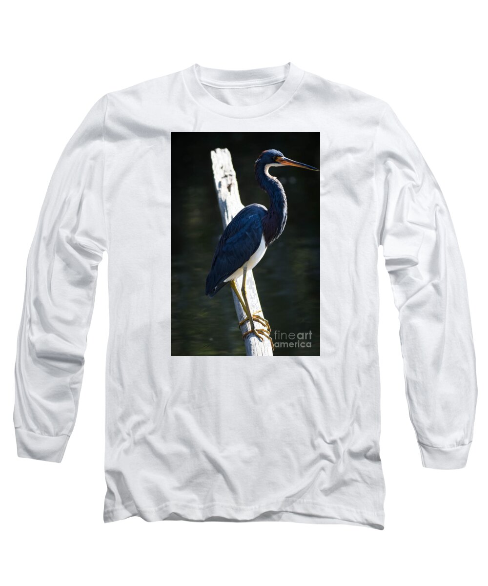 Nature Long Sleeve T-Shirt featuring the photograph Tricolored Heron #1 by George Kenhan