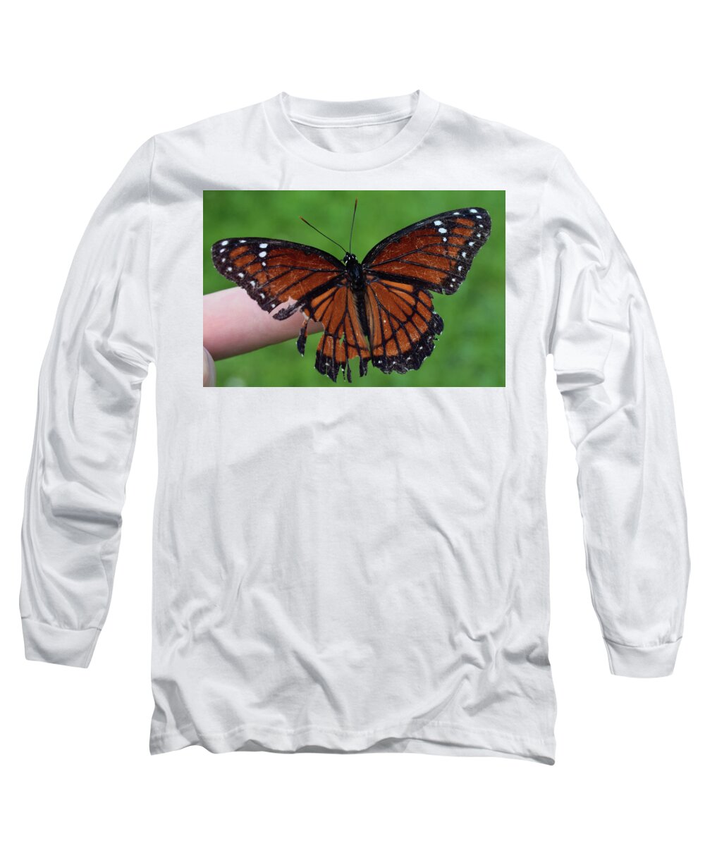 Photograph Long Sleeve T-Shirt featuring the photograph Viceroy Butterfly #2 by Larah McElroy
