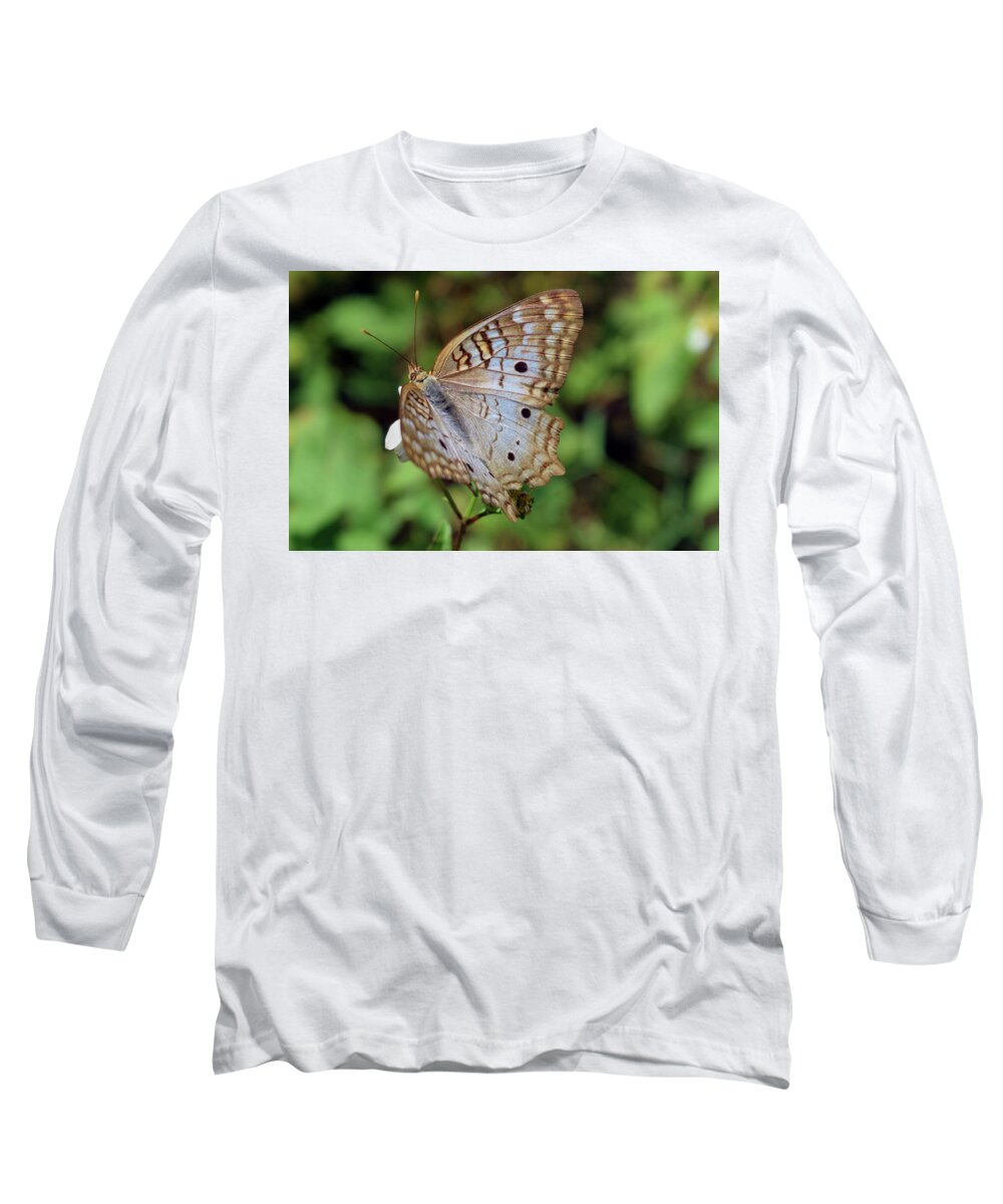 Photograph Long Sleeve T-Shirt featuring the photograph White Peacock Butterfly #2 by Larah McElroy