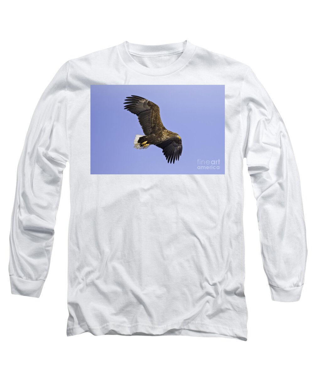White Tailed Sea Eagle Long Sleeve T-Shirt featuring the photograph White Tailed Sea Eagle #2 by Natural Focal Point Photography