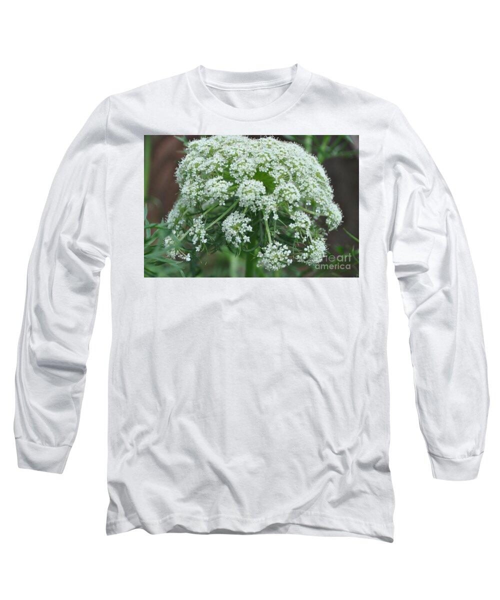 Carrot Flower Long Sleeve T-Shirt featuring the photograph 24k by Nona Kumah