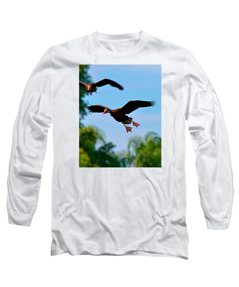 Birds Long Sleeve T-Shirt featuring the photograph 3 D by Alison Belsan Horton