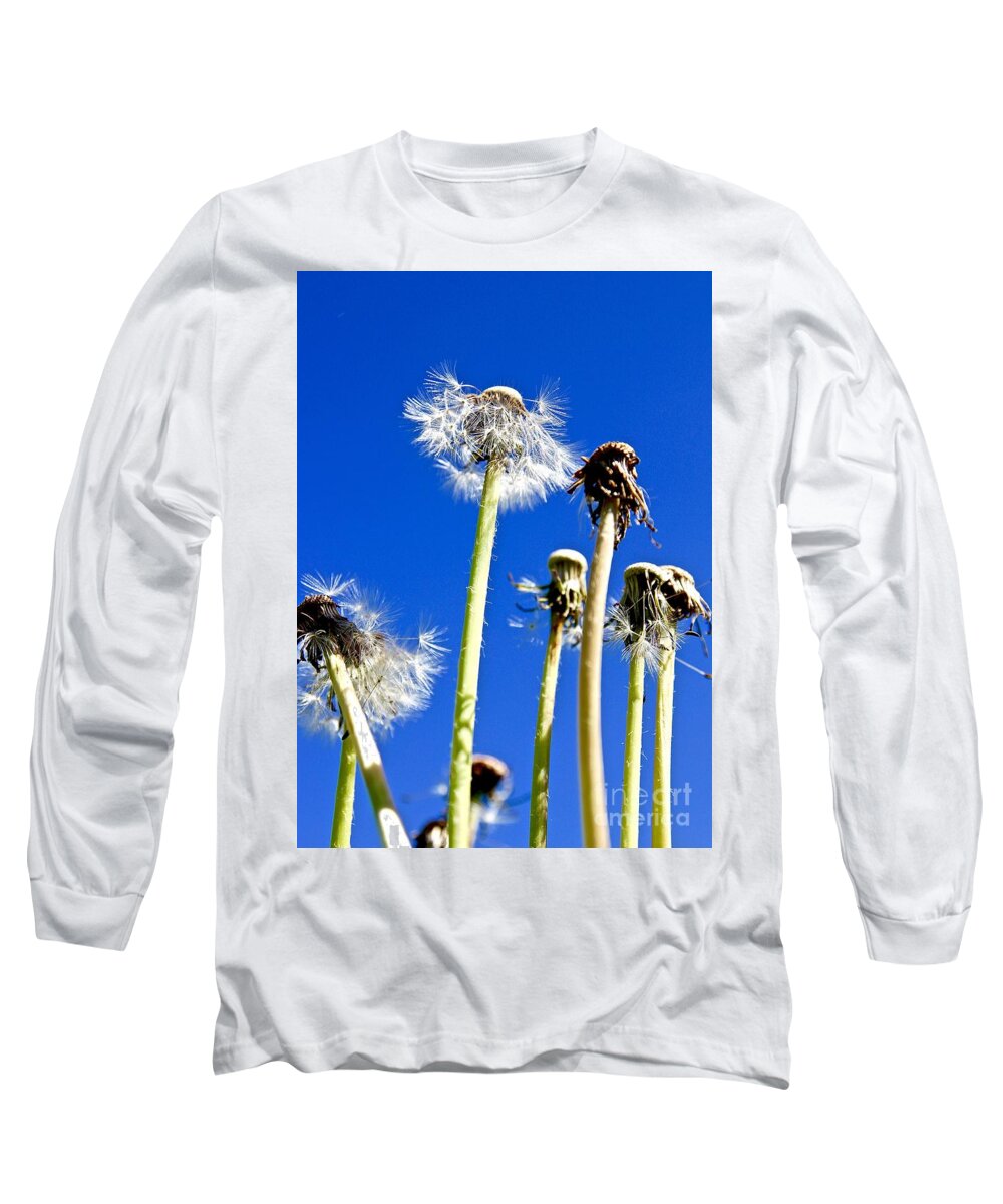 Dandelion Long Sleeve T-Shirt featuring the photograph Dandelion #3 by Elisabeth Derichs