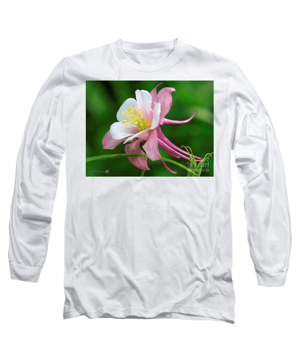 Mccombie Long Sleeve T-Shirt featuring the photograph Columbine from the Songbird Series named Robin #3 by J McCombie