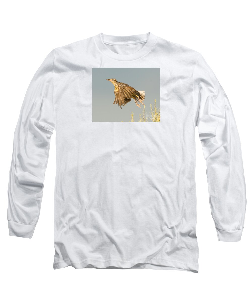 Bird Long Sleeve T-Shirt featuring the photograph Western Meadowlark #6 by Dennis Hammer
