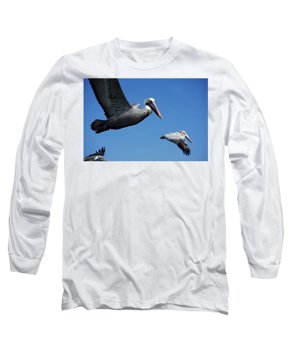 Birds Long Sleeve T-Shirt featuring the photograph Wildlife in Mexico #8 by Robert Grac