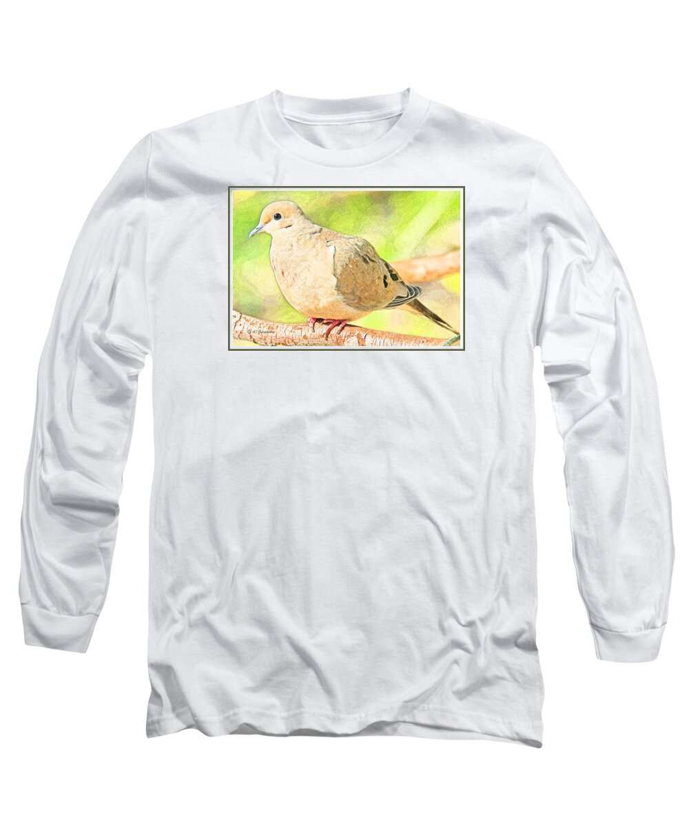 Mourning Dove Long Sleeve T-Shirt featuring the digital art Mourning Dove Animal Portrait #6 by A Macarthur Gurmankin