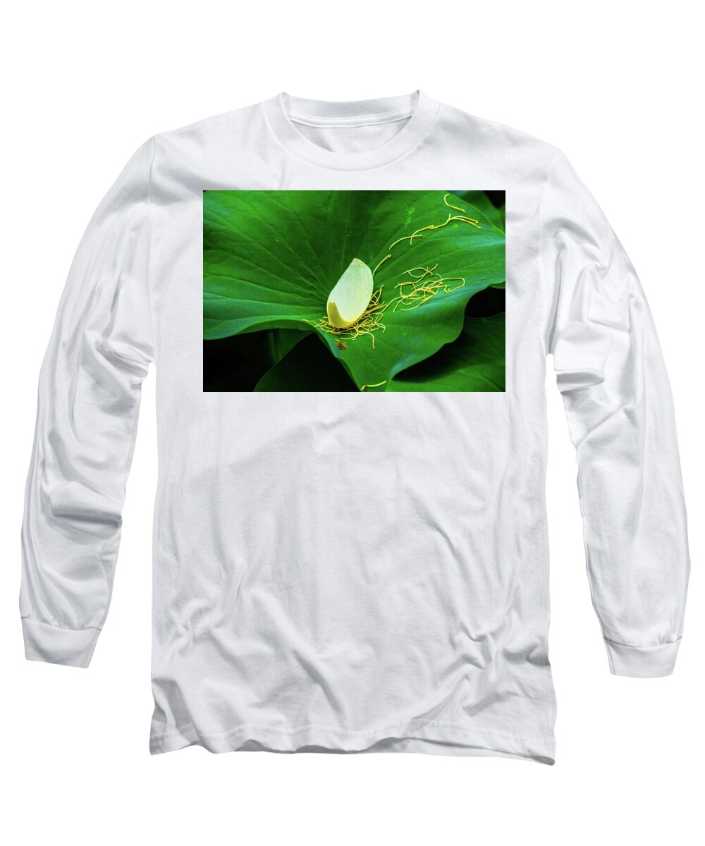 Bloom Long Sleeve T-Shirt featuring the photograph Abstract Leaves of Green and Yellow by Dennis Dame