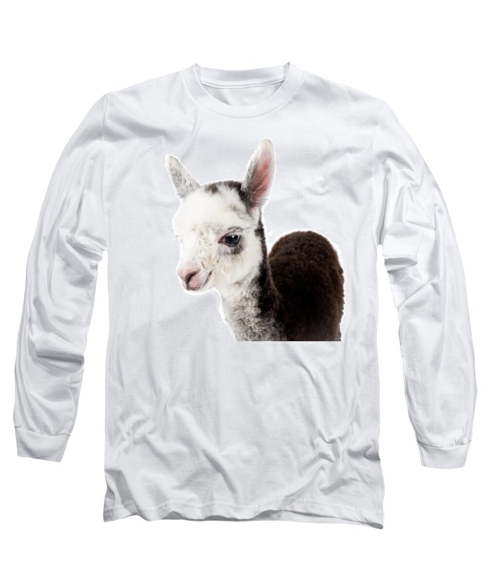 Baby Alpaca Long Sleeve T-Shirt featuring the photograph Adorable Baby Alpaca Cuteness by TC Morgan