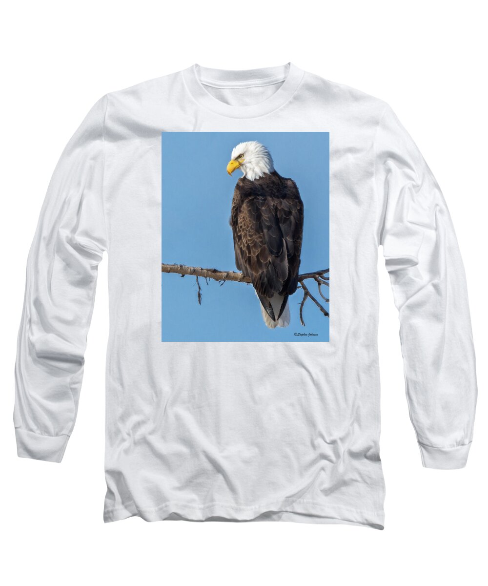 Bald Eagle Long Sleeve T-Shirt featuring the photograph Adult Bald Eagle on Branch by Stephen Johnson