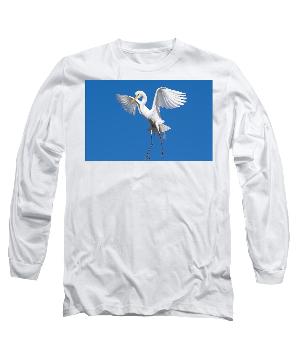 Wildlife Long Sleeve T-Shirt featuring the photograph Aerial Ballet by Kenneth Albin