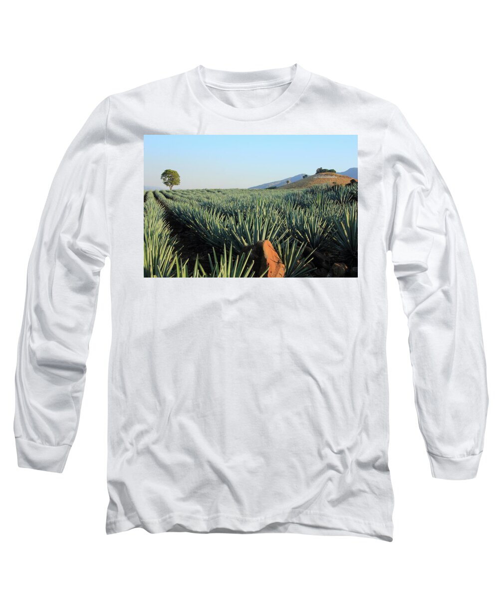 Agave Long Sleeve T-Shirt featuring the photograph Agave Fields by Robert McKinstry