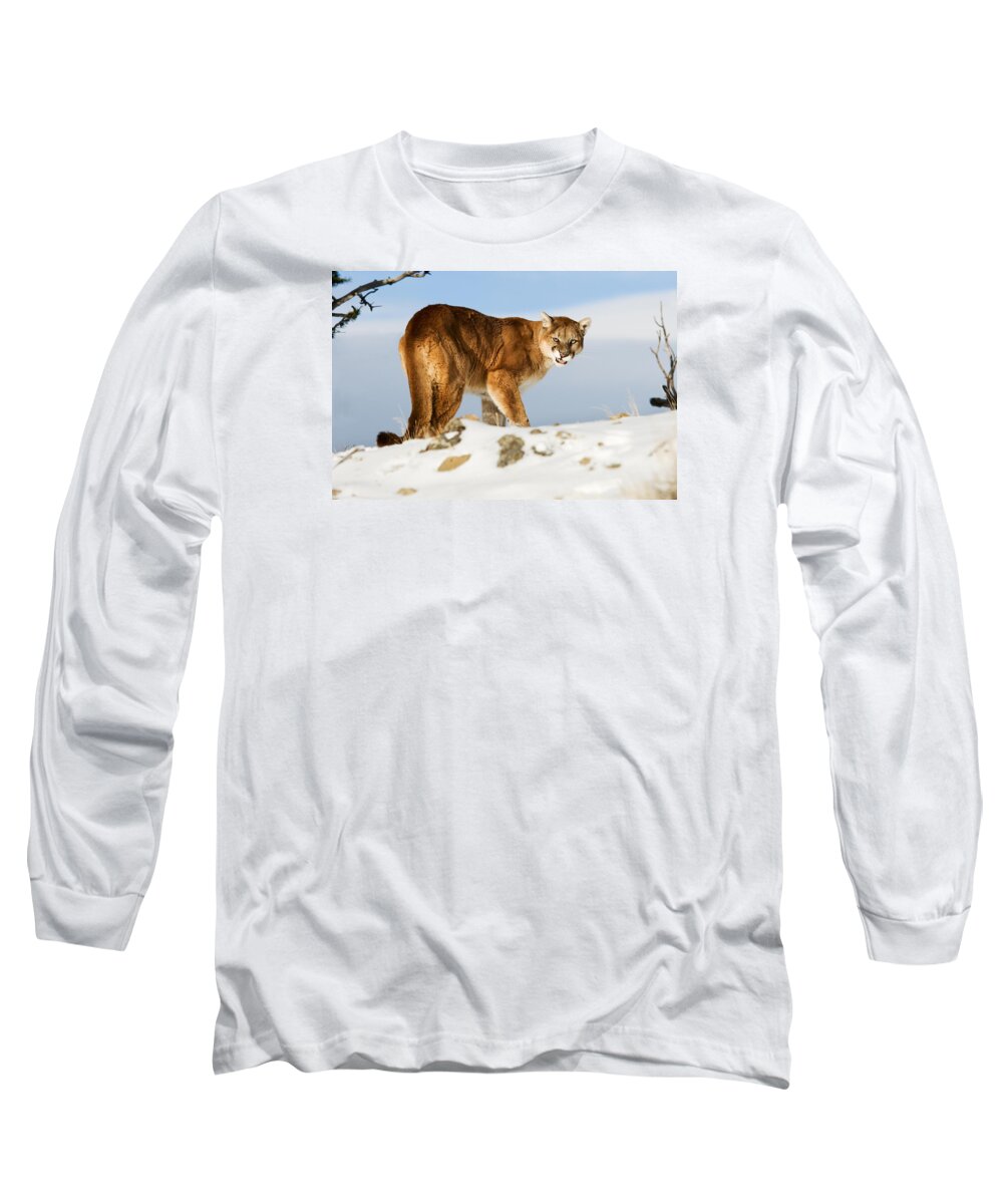 Mountain Lion Long Sleeve T-Shirt featuring the photograph Angry Mountain Lion by Scott Read
